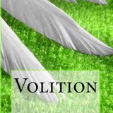 Volition by Shawn Kirsten Maravel