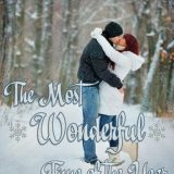 The Most Wonderful Time of the Year by Marie Landry