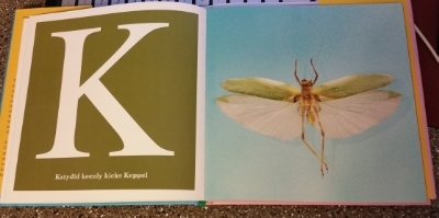 alphabet bugs