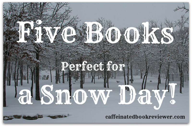 snowdaybooks