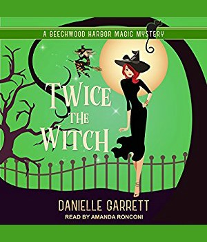 Twice the Witch by Danielle Garrett